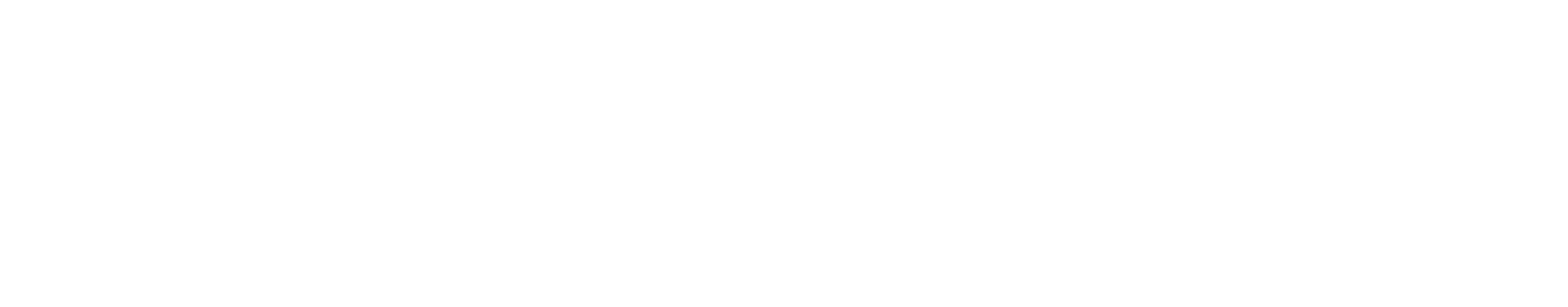Nilant Solution Logo